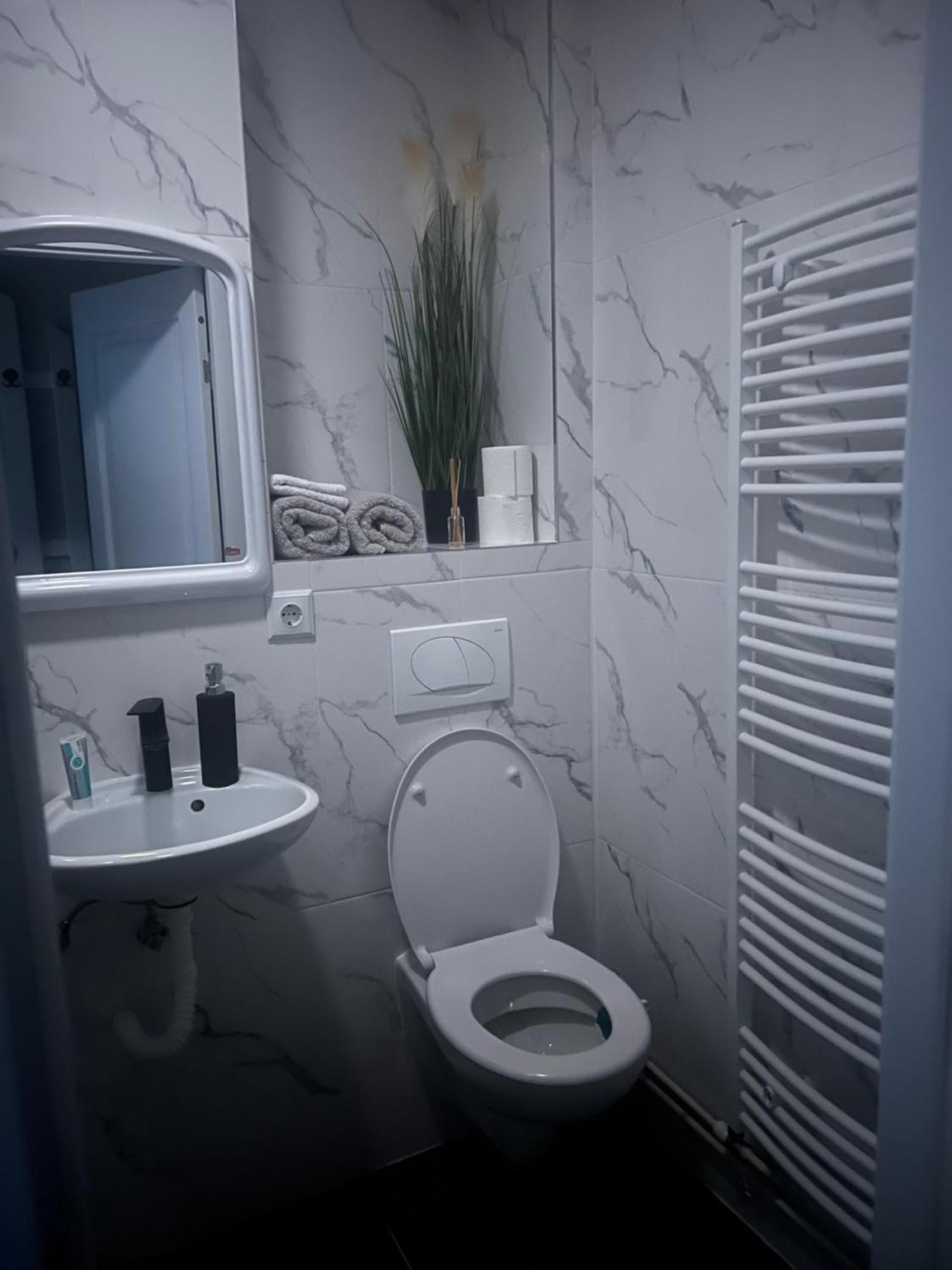 Apartament 2 Camere Baia Mare Zewnętrze zdjęcie